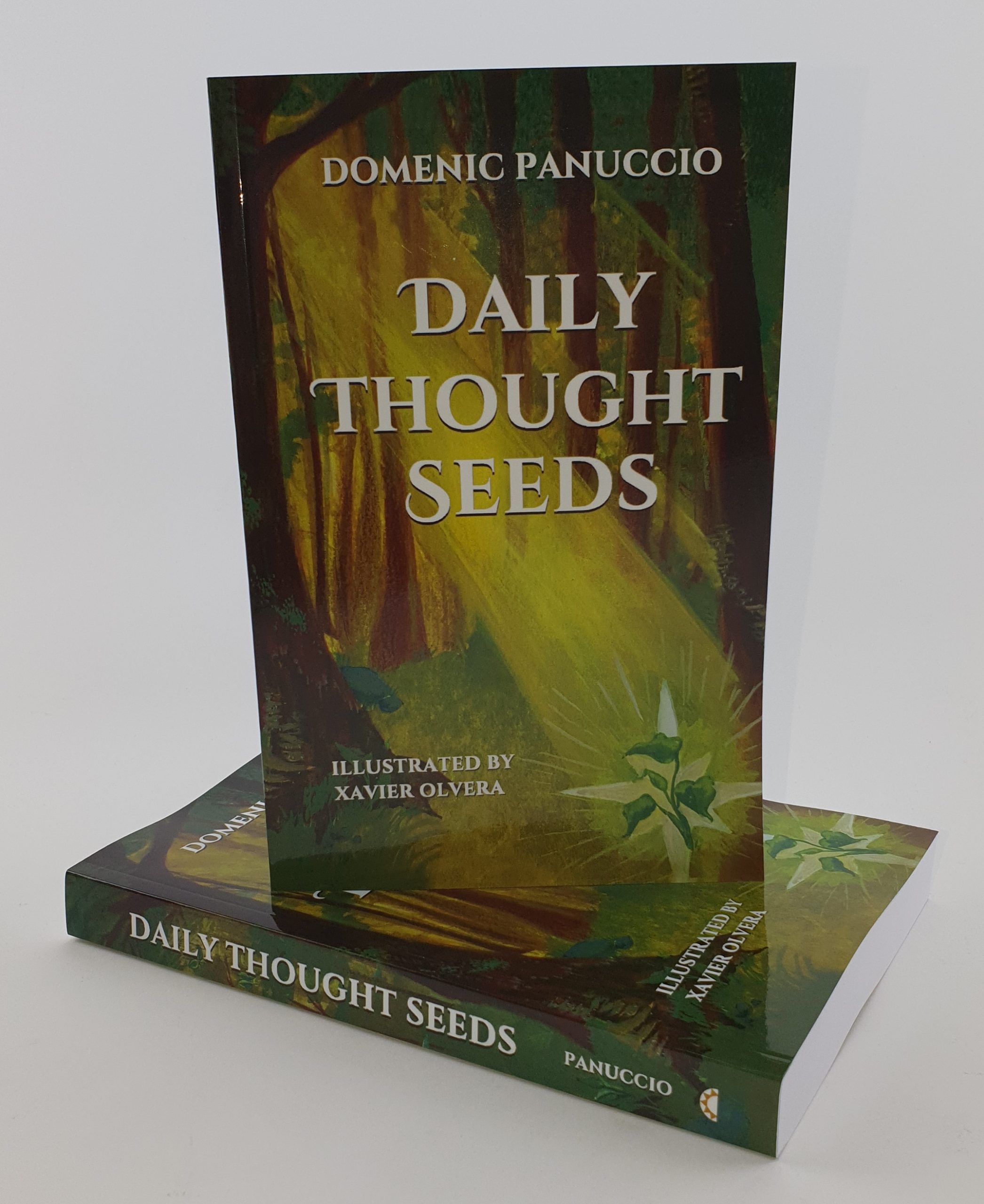Cover image of self-published book "Daily Thought Seeds"